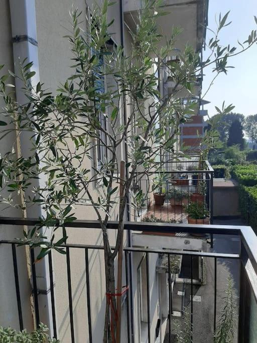 Mice Ottima Soluzione Per Il Centro E La Svizzera Appartement Como Buitenkant foto
